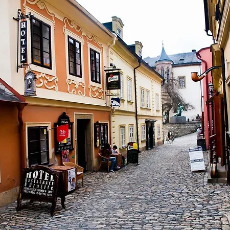 A Restaurace U Hrnčíře Hotel 3*
